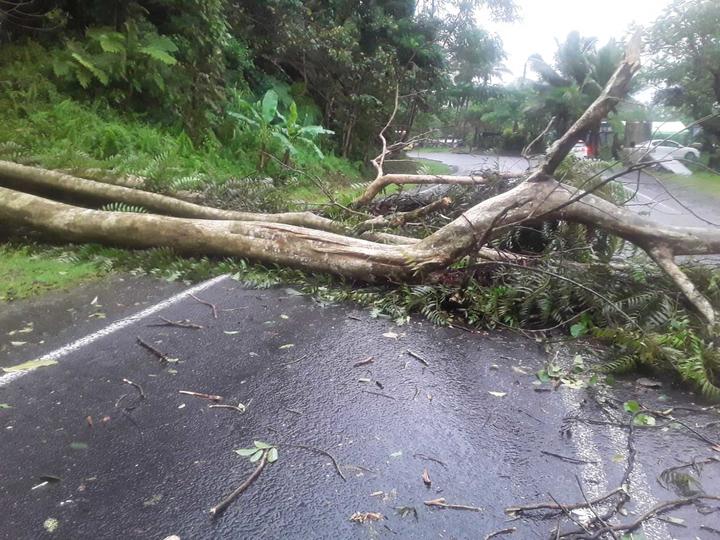 Hundreds evacuated as Tropical Cyclone Sarai hits Fiji