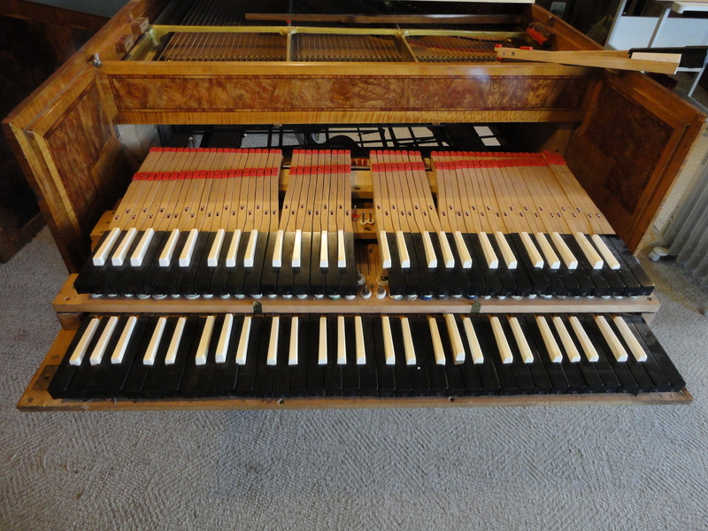 The Fall and Rise of Harpsichord 6 RNZ