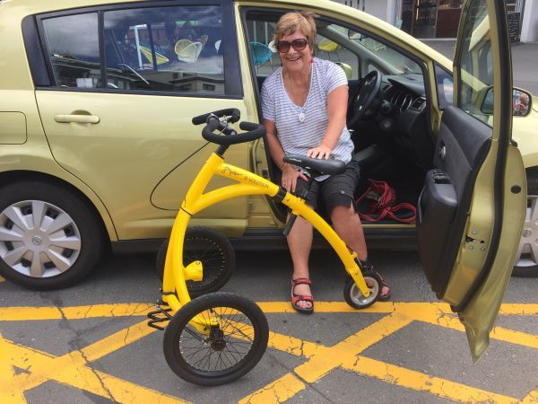 walking trike for adults