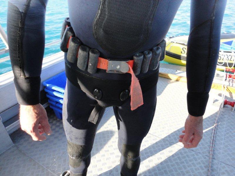 Commercial Paua Divers A Gallery from Extreme Diving in New Zealand