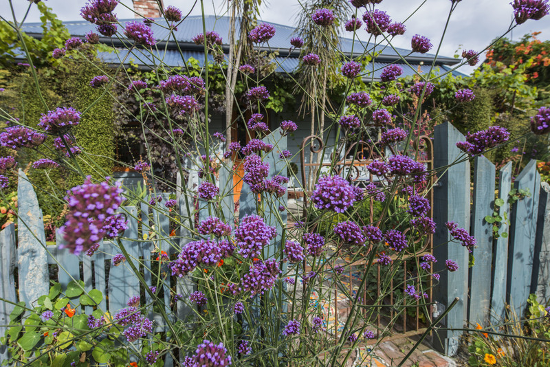 New Zealand S Flourishing Gardens And The Women Behind Them Rnz