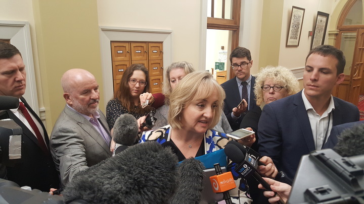 Social Housing Minister Amy Adams speaking to reporters on 11 April.
