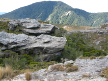 Bathurst Resources plans to mine this area of the Denniston Plateau. 