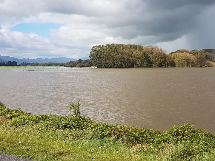 Waitoa river is in flood following Cyclone Cook. 