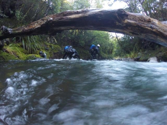 The Police National Dive Squad searched the Matawai Stream.
