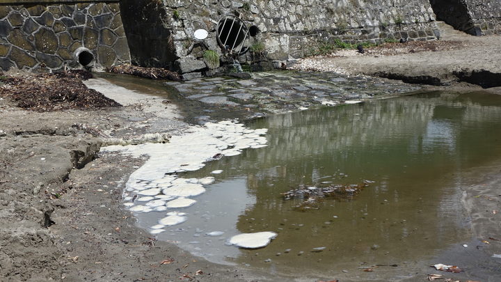 Poo tracker' shows extent of sewage in Auckland's beaches | RNZ News