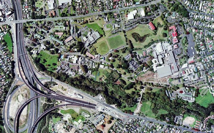 The land that will be developed for new homes in Mt Albert.