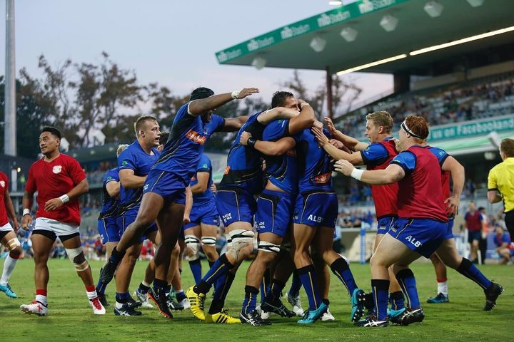 The Western Force celebrate a try against Tonga A.