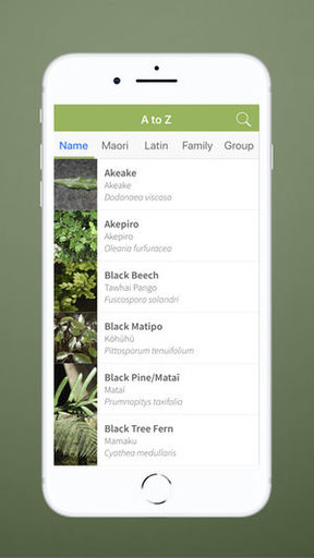 Nz Native Trees There S An App For That Rnz