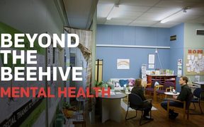 Beyond the Beehive: Mental Health