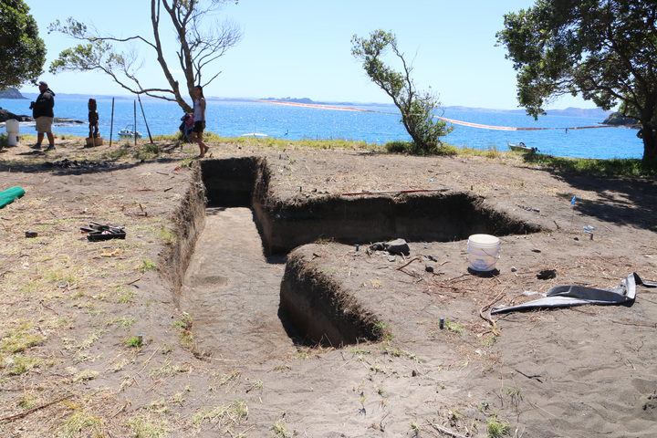 The dig site at Mangahawea Bay on Moturua Island, Bay of Islands.