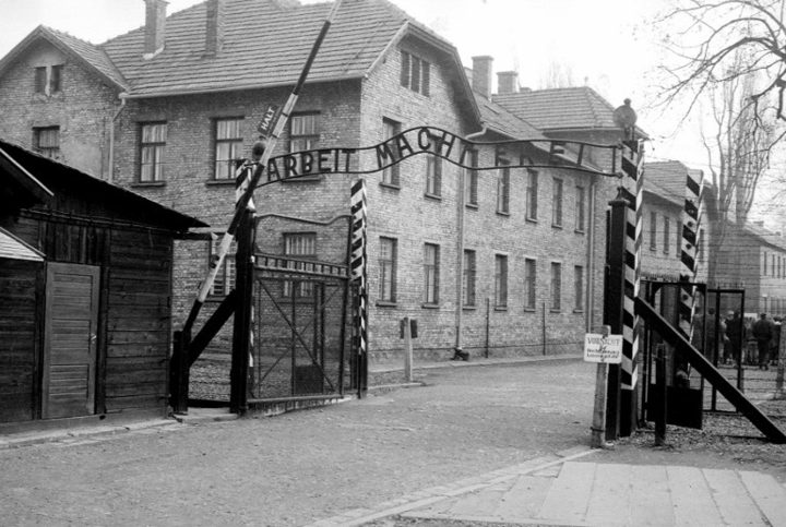 The Tattooist Of Auschwitz Rnz