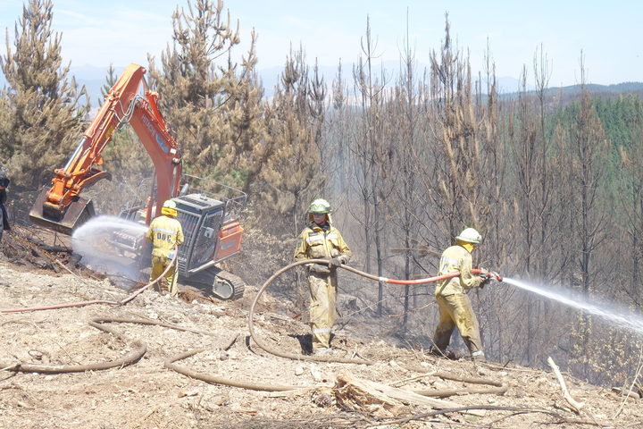 Firefighters tackle fire in Moutere North Forest in north-eastern sector of fire zone near Nelson. 