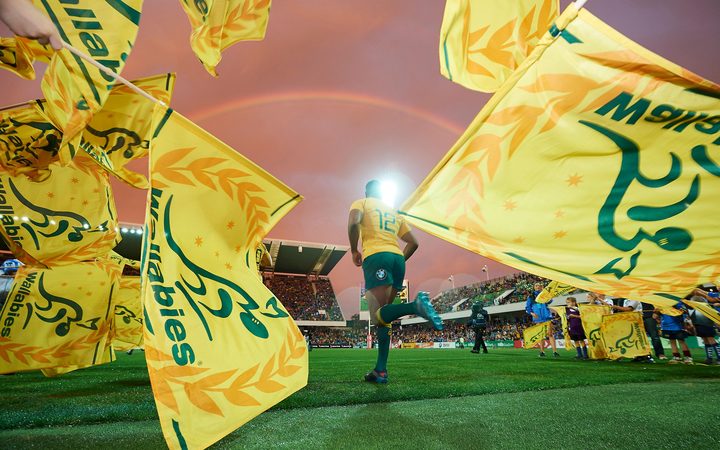 Wallabies