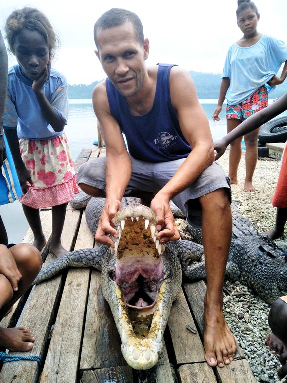 Saltwater crocodiles killed in the Western Province of the Solomon Islands. 2018