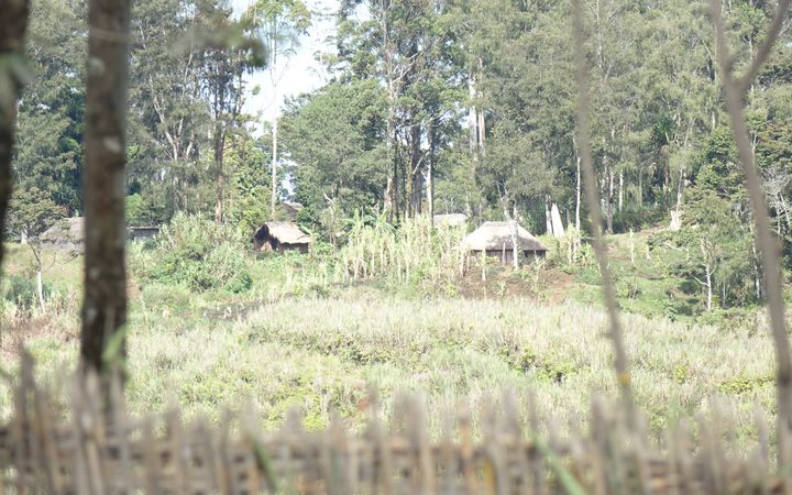 Homes in Western Highlands province, Papua New Guinea