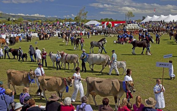 Canterbury A & P Show grand parade.