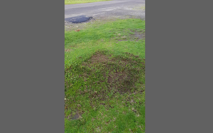 Kāpiti Coast Council removed the Nazi graffiti from the grass berm at Dixie Street after being told about it.