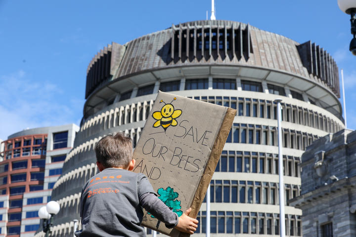 At a climate strike protest a small boy holds a banner towards the Beehive reading 'Save our bees and trees'.