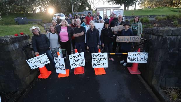 30 people have gathered to block the entrance to Mt Albert in an effort to save trees. 
