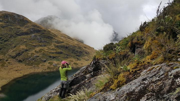 Kerry Weston scanning for rock wrens above Minim Mere in South Westland. A typical rock wren habitat includes bluffs, boulder fields and subalpine scrub.