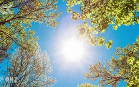 Weather: Reprieve from heat as wind changes