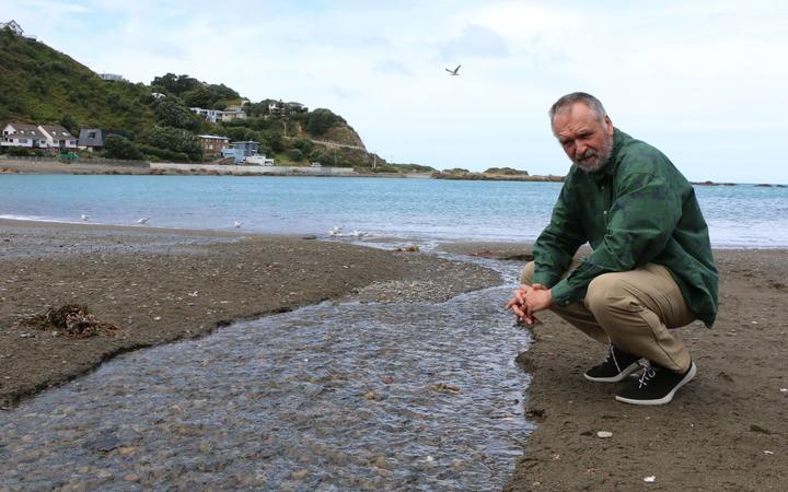 Water quality 'crisis': Residents slam 'tsunami of faecal matter' in bay - RNZ