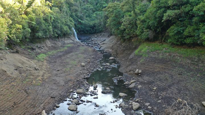 The water level is low in the creek leading into Upper Nihotupu Dam.