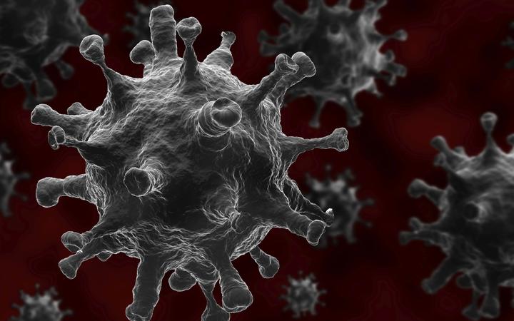 Coronavirus disease cells, 3D rendering. new 2019 Novel Coronavirus (COVID-19) infection outbreak occurs from Wuhan, China