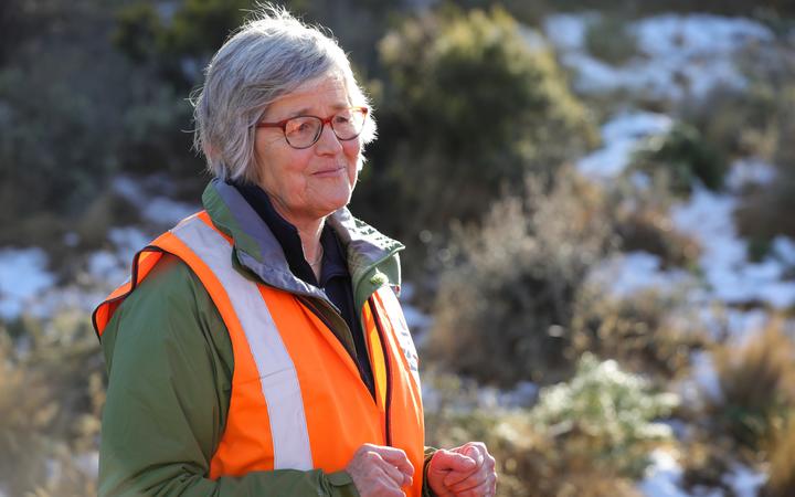 Languishing' Jobs for Nature fund process leaves operator fearful | RNZ News