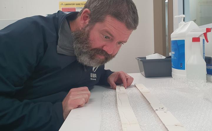 NIWA climate scientist Andrew Lorrey studies a core taken from an ancient Porites coral thrown up on the shore of Aitutaki in the Cook Islands.