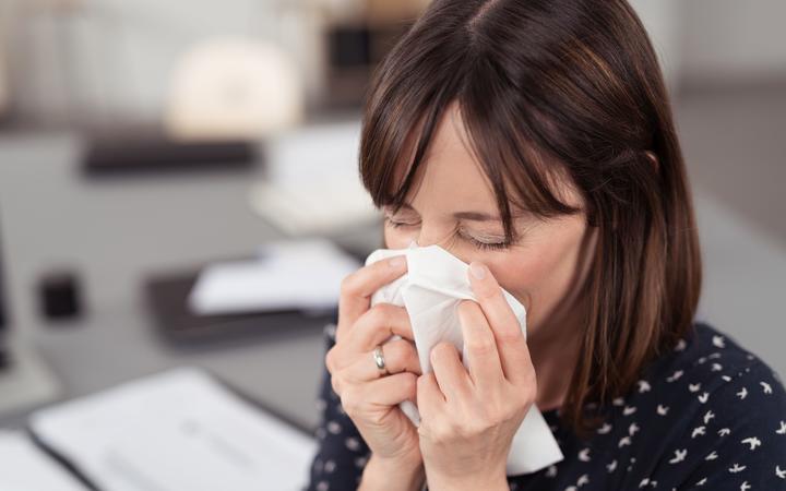 Close up Sick Young Office Lady at her Desk Sneezing Into a White Tissue with Eyes Closed.