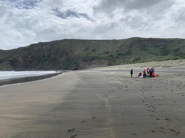 A group of swimmers got in trouble at Bethells Beach.