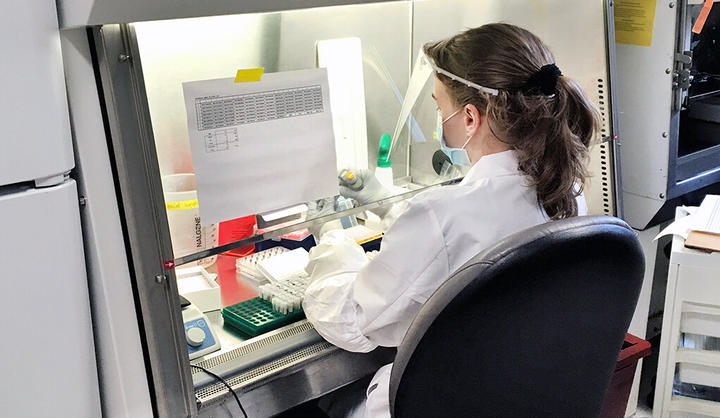 Christina Harden, a post-graduate researcher in the Grubaugh Lab, works on SalivaDirect™ tests.