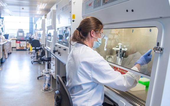 An undated handout picture released by the University of Oxford on November 23, 2020 shows a technician working at Oxford Vaccine Group on the University's COVID-19 candidate vaccine, 