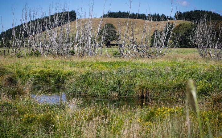 Ecan wetlands restoration work