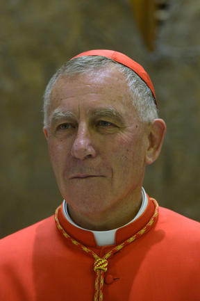 Cardinal John Atcherley Dew poses during a courtesy visit to newly created cardinals on February 14, 2015 at the Vatican. 