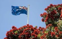 The New Zealand flag and pohutukawa