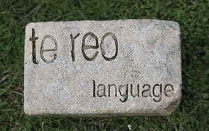 te reo sign
