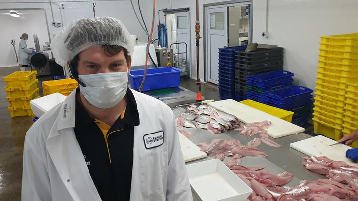 Egmont Seafoods chief executive Caleb Mawson said there were online and supermarket orders to fill, as well as a small amount for exports.