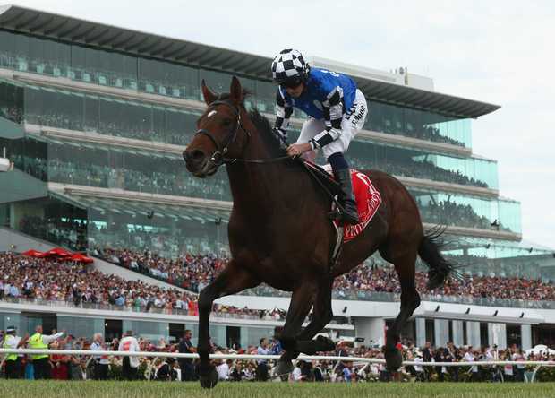 Protectionist wins the 2014 Melbourne Cup.