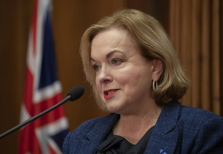 National leader Judith Collins during her press conference at Parliament.