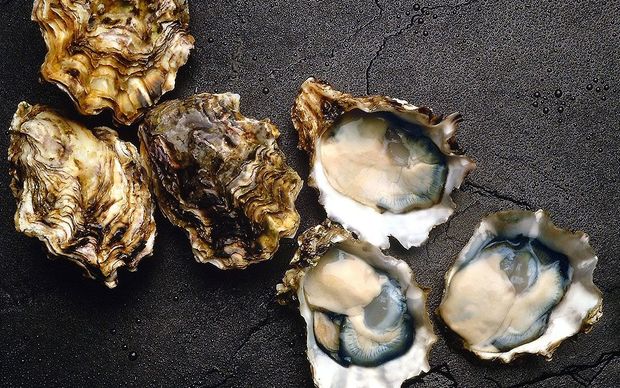 Pacific oysters whole and in the half shell 