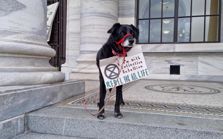 The Extinction Rebellion climate protesters were accompanied by a canine companion.  