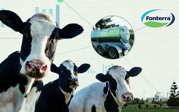 Dlaczego światowe ceny przetworów mlecznych są tak wysokie?  Oto, co musisz wiedzieć