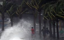 Typhoon Hagupit