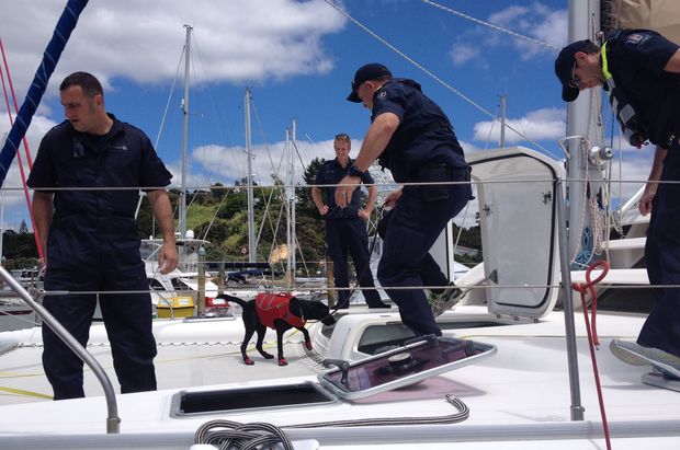 A sniffer dog being used in search of forbidden fruit at Opua marina.