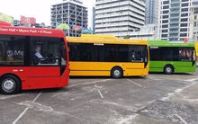 Auckland Transport has unveiled a new brand and colour scheme for most of the region's buses.