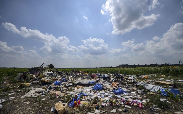  The site of the downed Malaysia Airlines flight MH17 in July this year.
