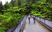 A section of the Mountains to Sea cycle trail, which runs from Mt Ruapehu to Whanganui.